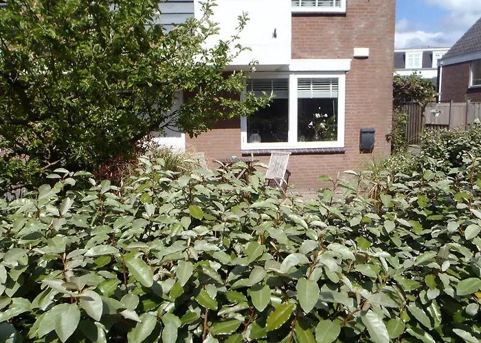 Holidaytime 아파트 잔드보르트